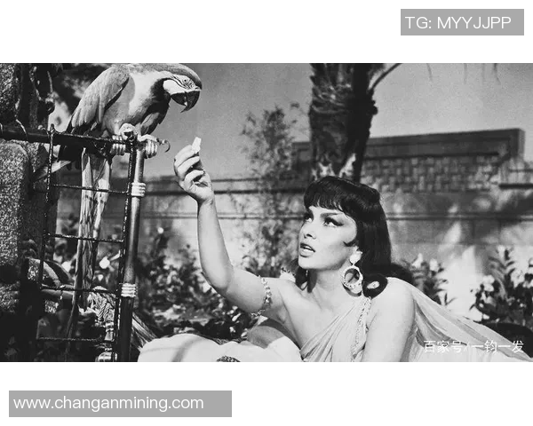 足球巨星们的女友们 谁是背后的神秘女王与支持者